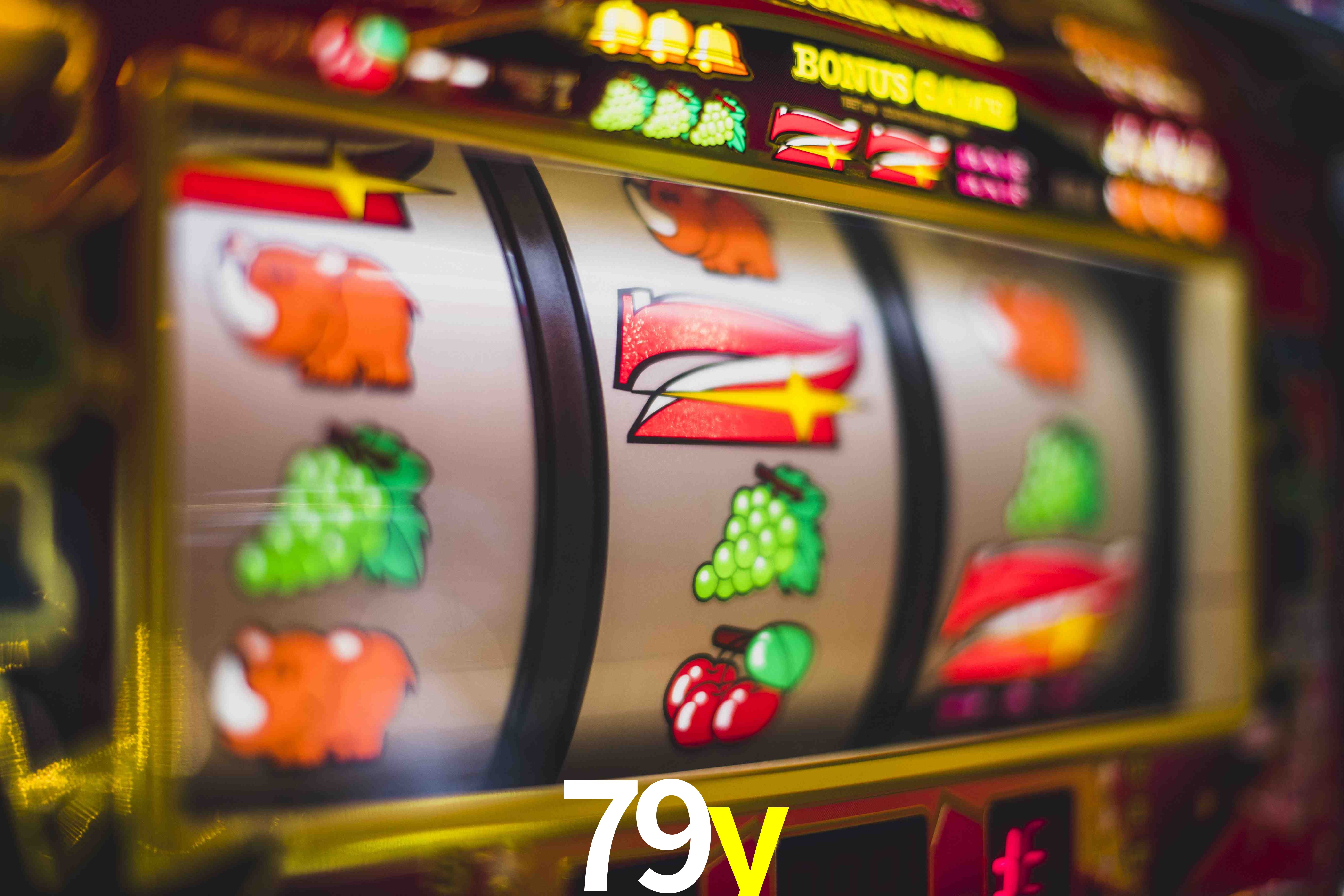 VIP Casino 79y